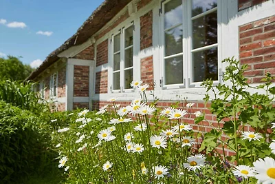 Vakantieappartement Gezinsvakantie Jork