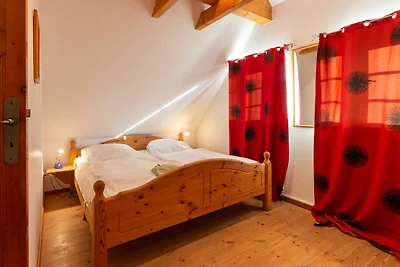 Albergo Cultura ed escursioni Neuenkirchen