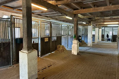 Ferienwohnung Kuhstall
