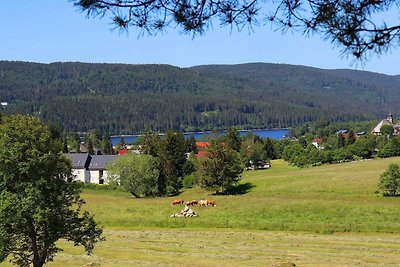 Vakantieappartement Gezinsvakantie Schluchsee