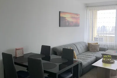 Apartment 425