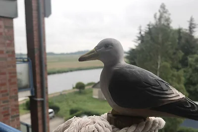Möwennest