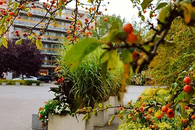 Studio Comfort (PS36)