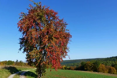 Vakantieappartement Gezinsvakantie Kirchzell Watterbach