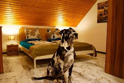 Vakantieappartement Gezinsvakantie Diebach