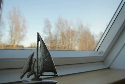 FischLANDinSicht