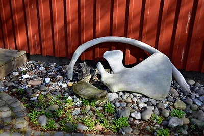 Vakantieappartement Gezinsvakantie Hiddensee