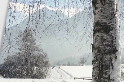 Vakantieappartement Gezinsvakantie Abersee