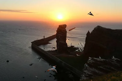 Vakantieappartement Gezinsvakantie Helgoland