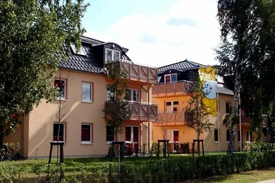 Albergo Cultura ed escursioni Ückeritz