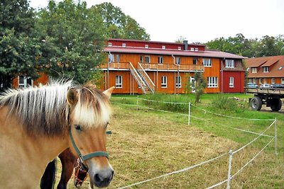 Ferienwohnung grün