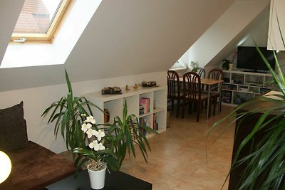 2-Raum-Ferienwohnung (40m², max 2 Personen)