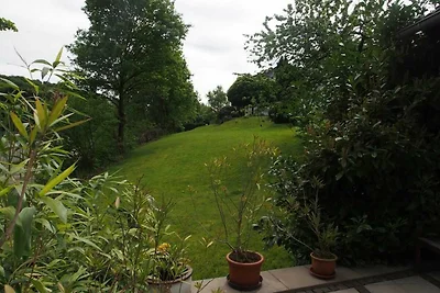 Vakantieappartement Gezinsvakantie Neunkirchen-Seelscheid