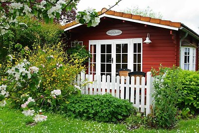 Kleines Gänseblümchen - Ferienhaus, Frau...
