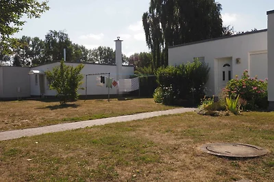 Albergo Cultura ed escursioni Diedrichshagen