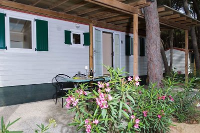 Feriendorf Mare Pineta - Ametista (2632)