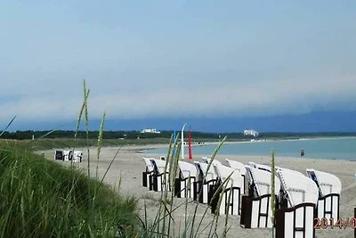 Vakantieappartement Gezinsvakantie Dierhagen