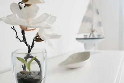 Appartamento Vacanza con famiglia Dierhagen