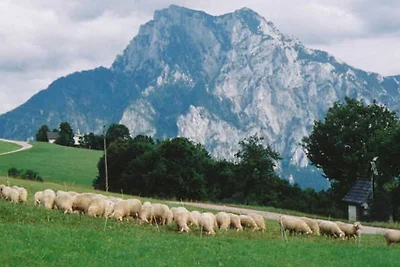 apartman za odmor Obiteljski odmor Altmünster