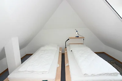 Albergo Cultura ed escursioni Butjadingen