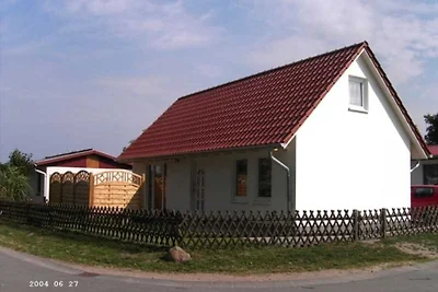 Kraus, Irena