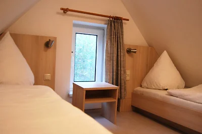 Albergo Cultura ed escursioni Hiddensee