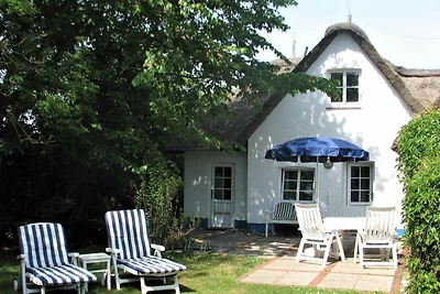 Friesenkate West Brukswai 3 Goting