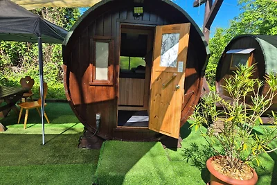 Albergo Cultura ed escursioni Lübbenau