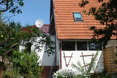 Domizil
