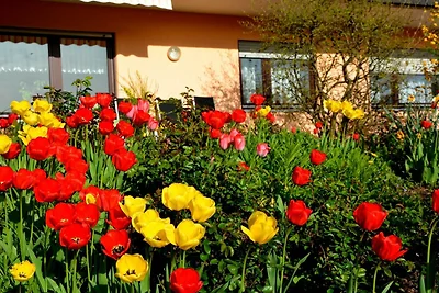 Vakantieappartement Gezinsvakantie Neckargemünd