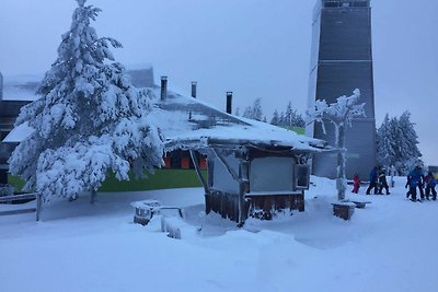 Vakantieappartement Gezinsvakantie Hahnenklee