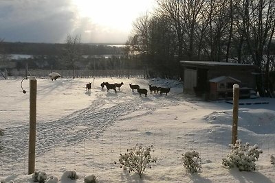 Familienzimmer Mitos für 1-4 Personen