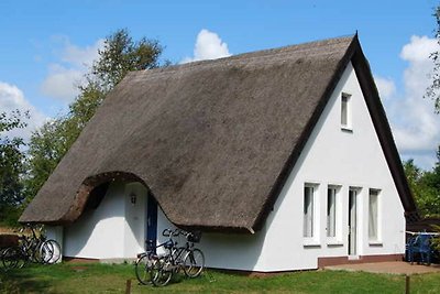 Hotel Cultuur en bezienswaardigheden Hiddensee