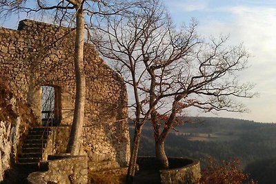 LTD-72 - Holzblockhaus mit Süd-Terrasse