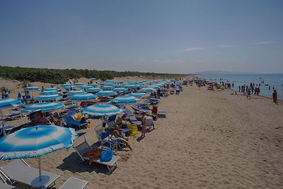 Feriendorf Marze - Lodge Comfort Rocchette AG...