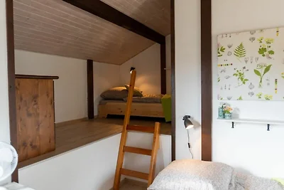 Albergo Cultura ed escursioni Bad Dürrheim