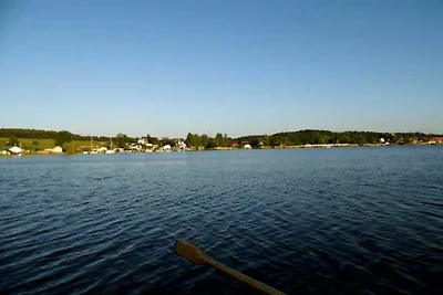 Fischreiher