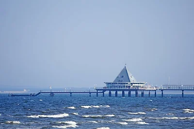 Kaisers vis à vis, Wohnung 5