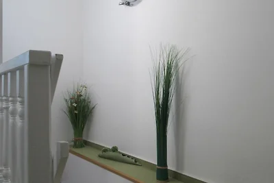 Wohnung 3