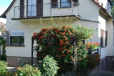 Vakantieappartement Gezinsvakantie Michelstadt