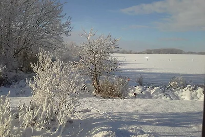 Ländliche Ferienwohnung Flüh