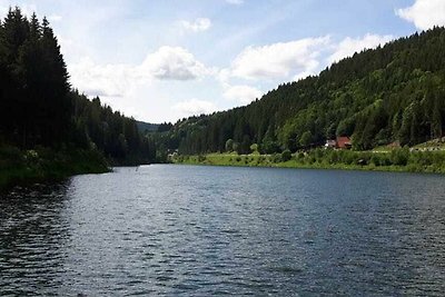 Albergo Cultura ed escursioni Furtwangen