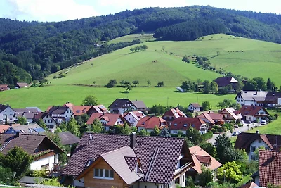 Vakantieappartement Gezinsvakantie Schuttertal