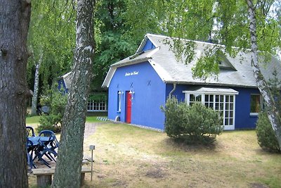 Blaues Strandhaus hinter der Düne