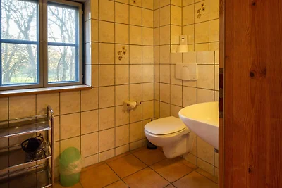 Albergo Cultura ed escursioni Neuenkirchen