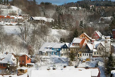 Haushimmelblau