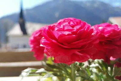Appartamento Vacanza con famiglia Bayrischzell