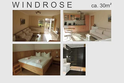 Sandburg (2)