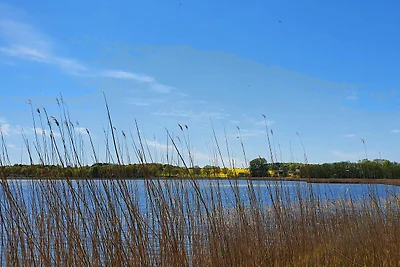 Vakantieappartement Gezinsvakantie Sellin