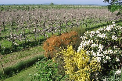 Appartamento Vacanza con famiglia Steinkirchen